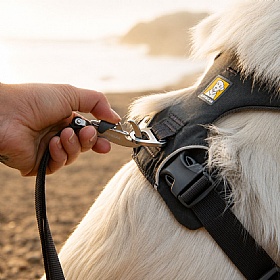 Ruffwear Front Range Dog Harness