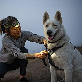 Ruffwear Front Range Dog Harness
