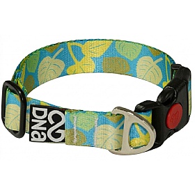 DNA Summit Signature HedgeRow Dog Collars