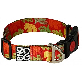 DNA Summit Signature Poppy Dog Collars