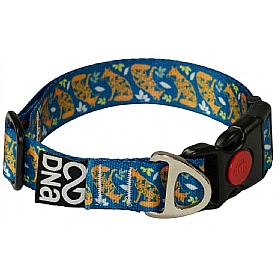 DNA Summit Signature Nocturnal Dog Collars