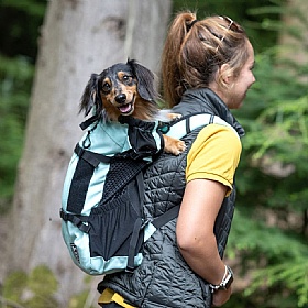 K9 Air The Original Dog Backpack Carrier