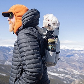 K9 Air 2 Dog Backpack - XS | Toy Dogs and Puppies