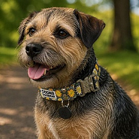 DNA Art Blooms Heritage Flowers Dog Collars
