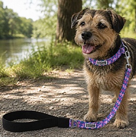 DNA Art Blooms Cottage Flowers Dog Leads