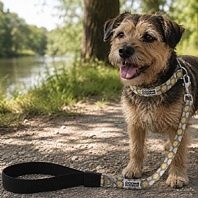 DNA Art Blooms Heritage Flowers Dog Leads