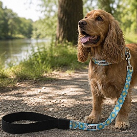 DNA Art Blooms Sunny Flowers Dog Leads