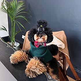 Wag & Wool Forest Green British Wool Dog jumper