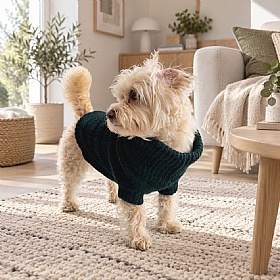 Wag & Wool Forest Green British Wool Dog jumper