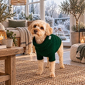 Wag & Wool Forest Green British Wool Dog jumper