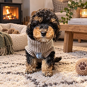Wag & Wool Light Blue Lambswool Dog Jumper