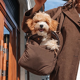 The Puffer Dog Carrier
