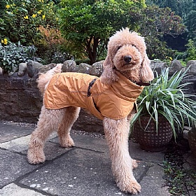 Rukka Stormy Waterproof Dog Coat