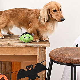 Howloween Night Frankenstein Squeaky Ball Dog Toy