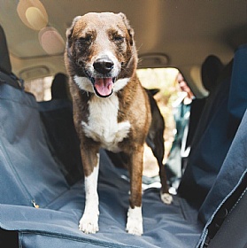 Ruffwear Dirtbag Seat Cover