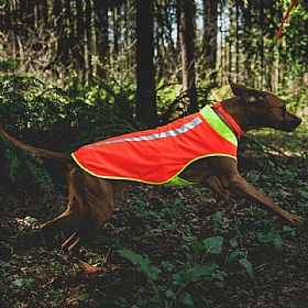 Ruffwear Lumenglow High-Vis Dog Jacket