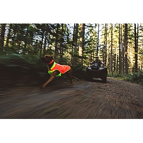 Ruffwear Lumenglow High-Vis Dog Jacket