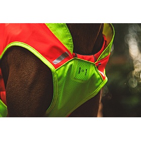 Ruffwear Lumenglow High-Vis Dog Jacket