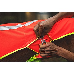 Ruffwear Lumenglow High-Vis Dog Jacket