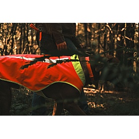 Ruffwear Lumenglow High-Vis Dog Jacket