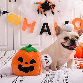 Howloween Night Ghost Pumpkin Squeaky Dog Toy