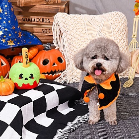 Howloween Night Candy Apple Squeaky Dog Toy