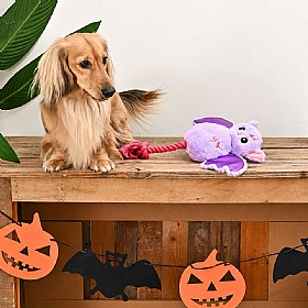 Howloween Night Bat Squeaky Plush Dog Toy