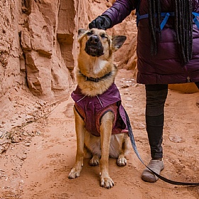 Ruffwear Overcoat Fuse Waterproof Jacket