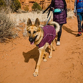 Ruffwear Overcoat Fuse Waterproof Jacket