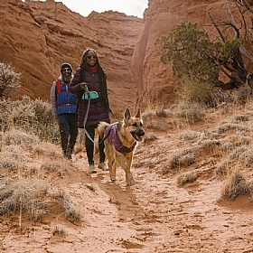 Ruffwear Overcoat Fuse Waterproof Jacket