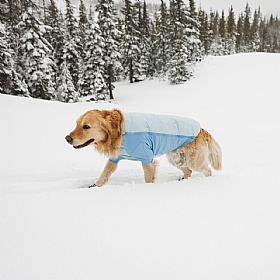 Ruffwear Powder Hound Waterproof Insulated Jacket