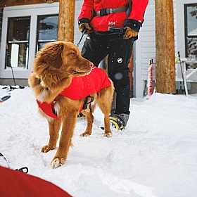 Ruffwear Powder Hound Waterproof Insulated Vest