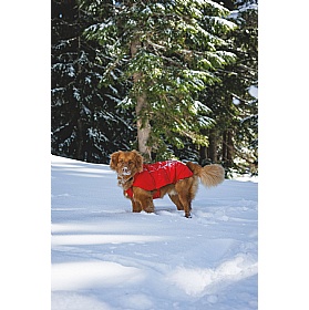 Ruffwear Powder Hound Waterproof Insulated Vest
