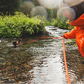 Ruffwear Rogue Long Line
