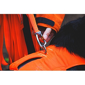 Ruffwear Rogue Long Line