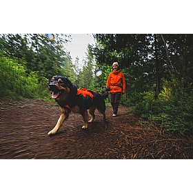 Ruffwear Rogue Long Line