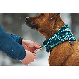 Ruffwear Mt. Hoodie Warming Neck Gaiter
