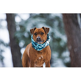 Ruffwear Mt. Hoodie Warming Neck Gaiter