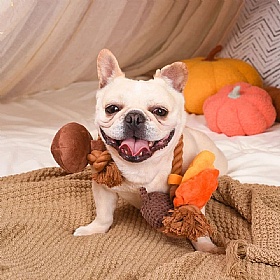 Autumn Tailz Squeaky Acorn Tug Rope Dog Toy