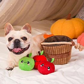 Autumn Tailz Apple Basket Interactive Dog Toy