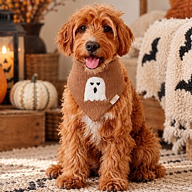 Boo Thang Reversible Halloween Dog Bandana