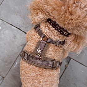 Comfort Sleek Silhouette Dog Harness