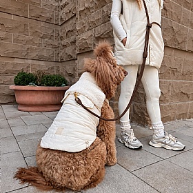 Comfort Cloud Hands Free Dog Lead