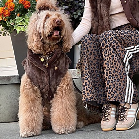 Comfort Furlowe Faux Fur Dog Vest