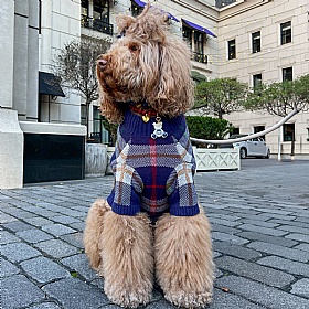 Hearthside Dog Jumper