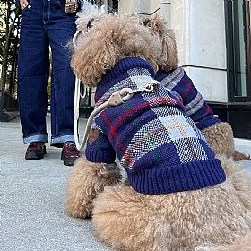 Hearthside Dog Jumper