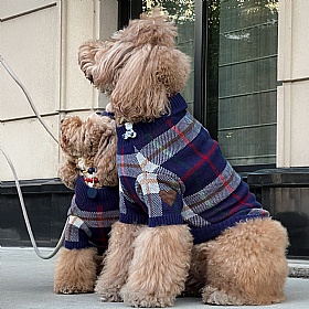 Hearthside Dog Jumper