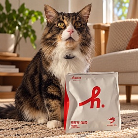 HiPaws Dog and Cat Treats Freeze Dried Whole Prawns