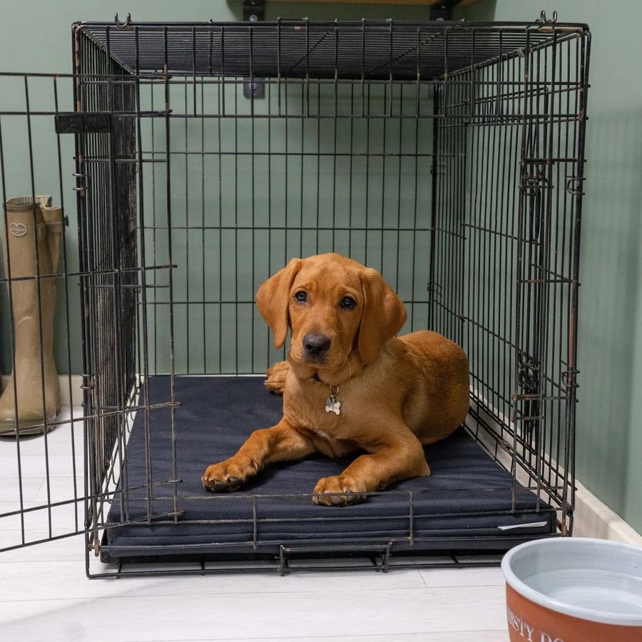 Ruff and Tumble Crate Mat Boot Bed from our Luxury Dog Beds range