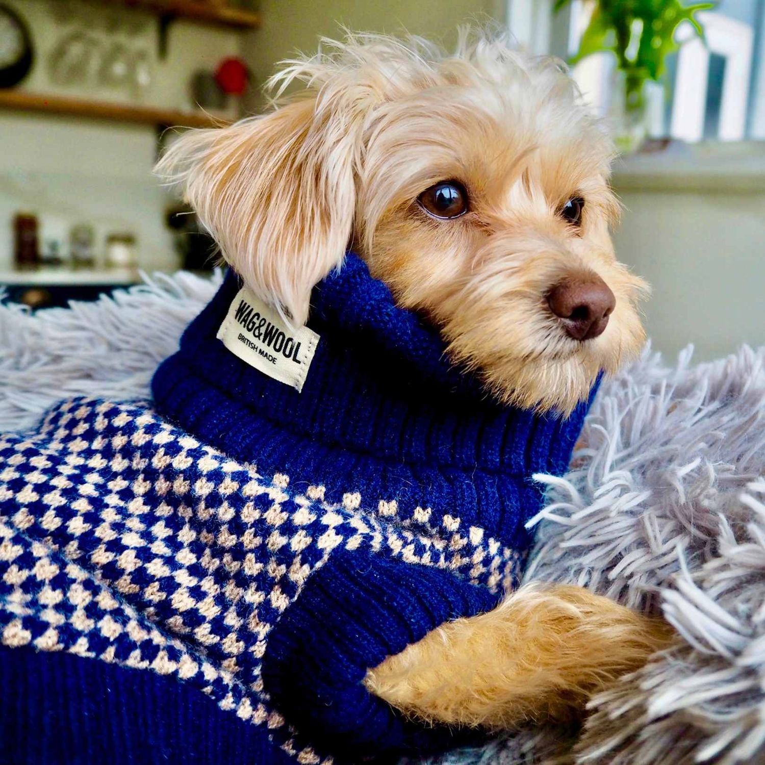 Matching dog and owner scarf online